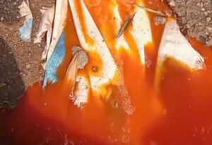 Screenshot_2025-09-26-00-08-18-51_6012fa4d4ddec268fc5c7112cbb265e7