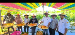 Screenshot_20251031-115513