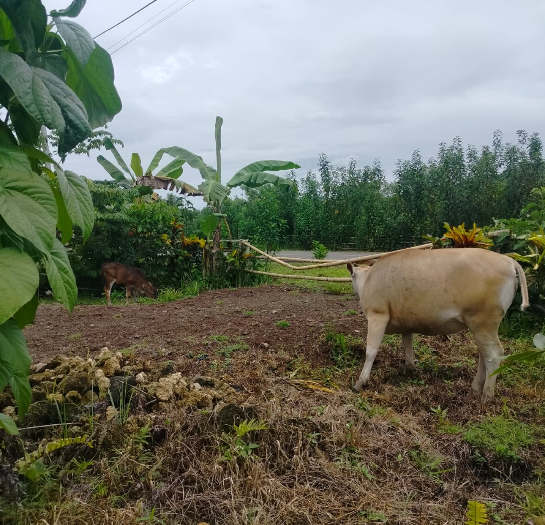 Screenshot_20251202-132217