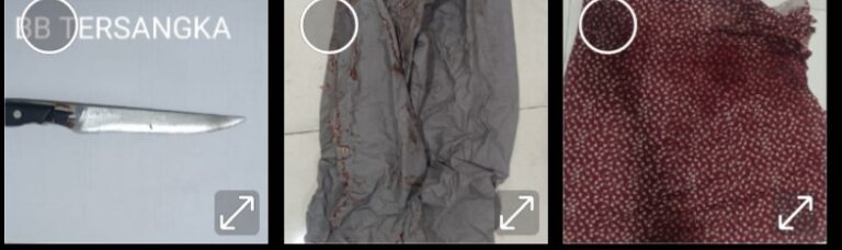 Screenshot_20260207_173130_Gallery