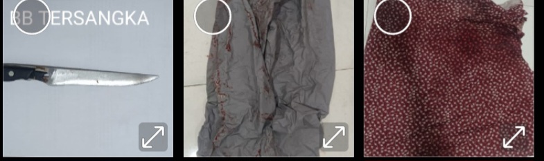 Screenshot_20260207_173130_Gallery