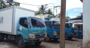 Screenshot_20260213-135303